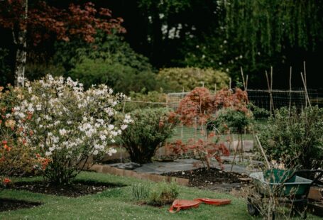 garden in work photo