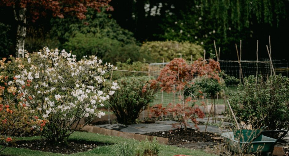 garden in work photo