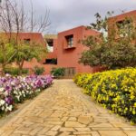 garden with lots of flowers