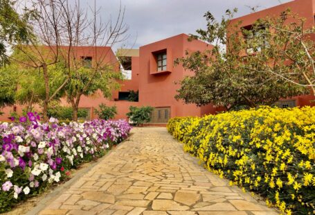 garden with lots of flowers