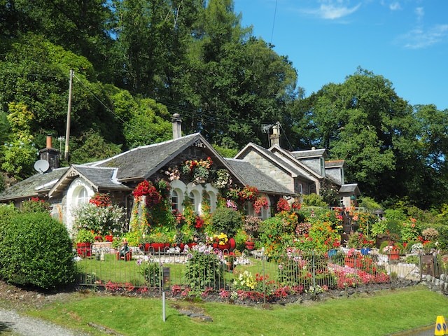 house with big garden