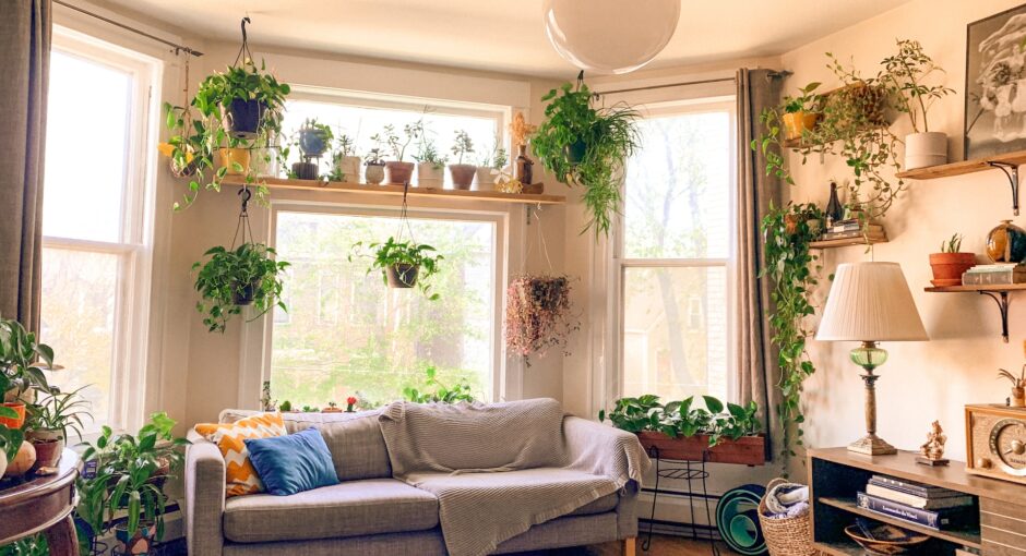 indoor garden