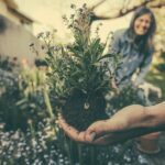 person holding the plant