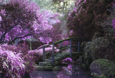 purple garden