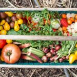 vegetables in box