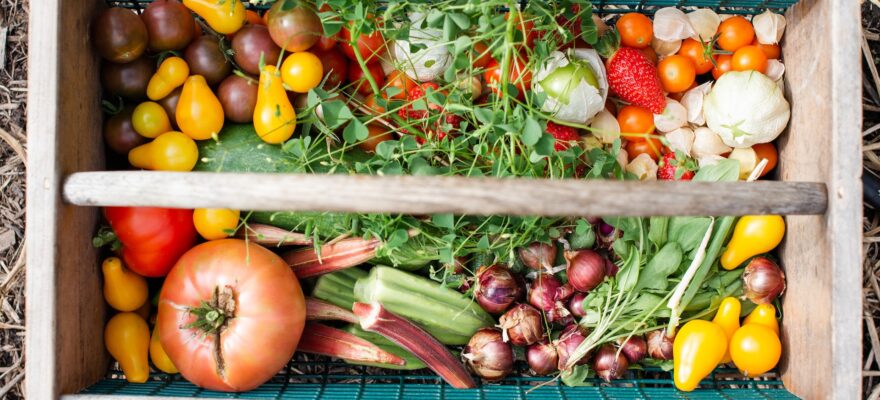 vegetables in box